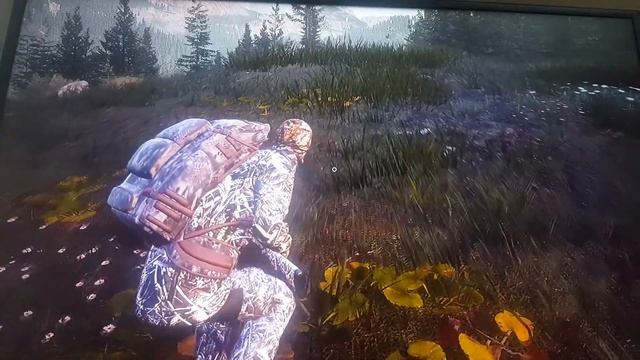 Hunting simulator 2 how to find and kill Jack rabbit hares easily смотреть онлайн