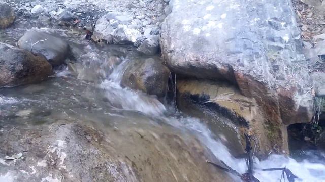 Горная речка среди леса в Исмаиллы. Mountain river among forest in Ismayilli. смотреть онлайн