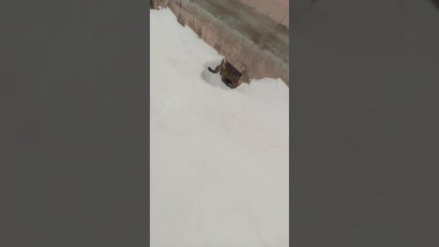 жэк город полысаево дом ветеранов не чистят январь 27 2023 год смотреть онлайн