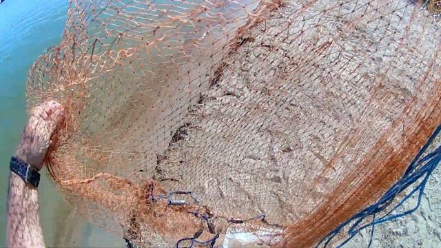 Обзор рыбных мест 2 07 2019 г №1 р Иртыш г Омск Ловля живца кастинговой сетью смотреть онлайн