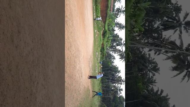 Village cricket. Funny game смотреть онлайн