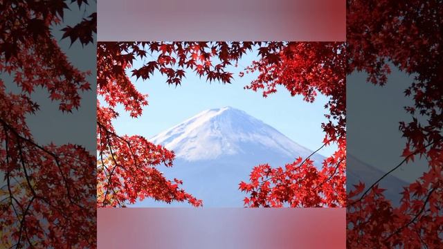 японские красные клены смотреть онлайн