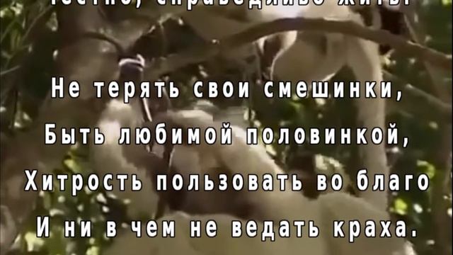 Международный день обезьян смотреть онлайн