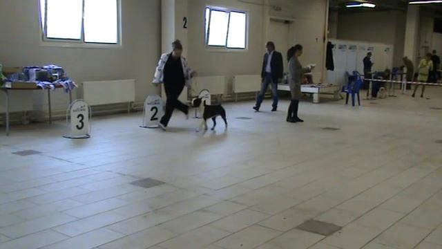 Зимняя сказка 03-03-2013 смотреть онлайн