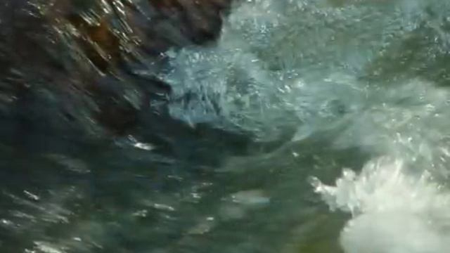 SACRED WATER - dedicated to Charles Thom Sr смотреть онлайн