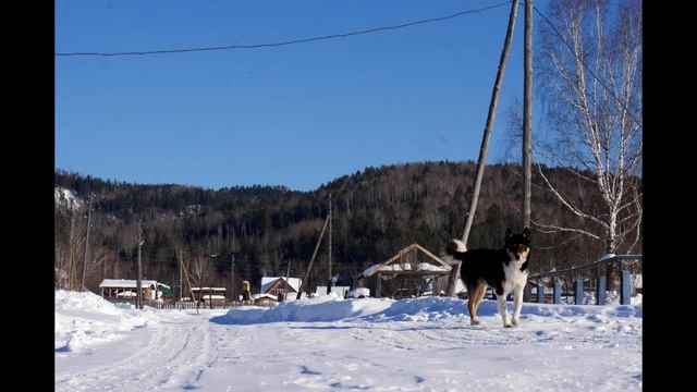 д.Тюхтят Красноярский край Природа