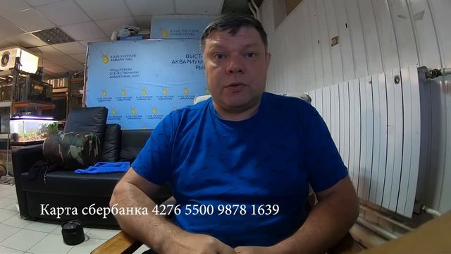 Аквамания в беде смотреть онлайн