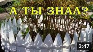 ЗАБОРЧИК из пластиковых бутылок СВОИМИ РУКАМИ???