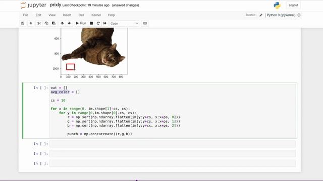 Turning my cat into a TSNE plot смотреть онлайн