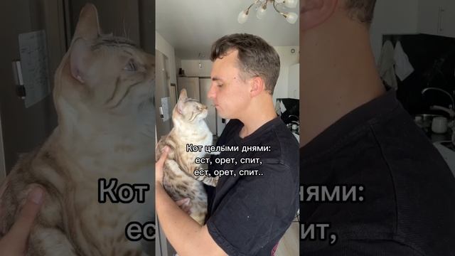 Говорят животные похожи на своих хозяев смотреть онлайн