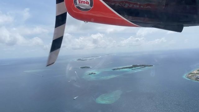 2022-10-31 смотреть онлайн