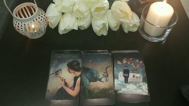 Мысли, чувства, намерения, действия мужчины ТАРО.mp4 смотреть онлайн