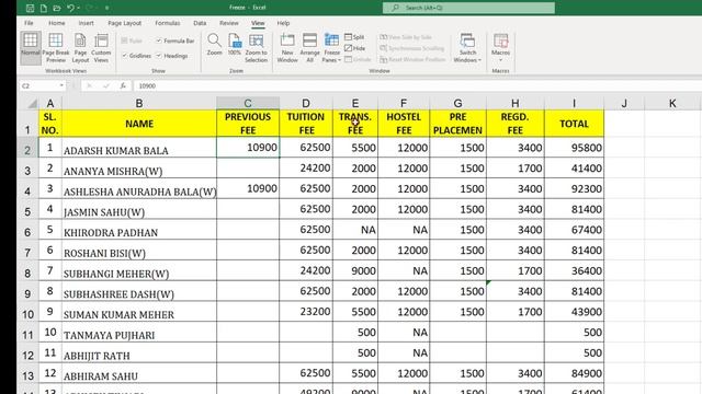How To Use Freeze Panes in MS Excel-2021 in Hindi | Tutor Era смотреть онлайн