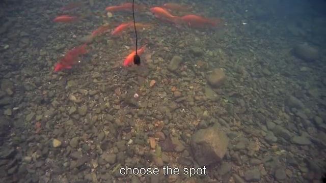 Бюджетная камера для рыбалки с АлиЭкспресс смотреть онлайн