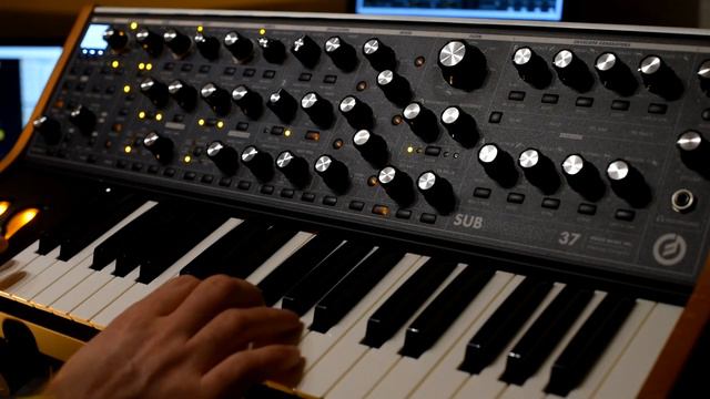 Source Audio Collider + Moog Subsequent 37 смотреть онлайн