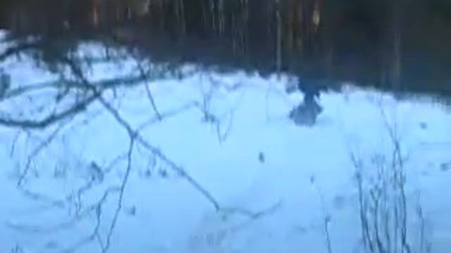 брод ави смотреть онлайн