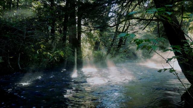 Beautiful Music With Nature Sounds  - For Inner Peace, Meditation, Sleep, Spa And Study