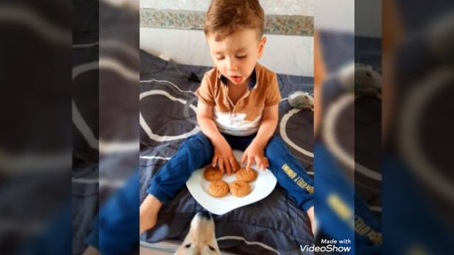 Orange cookies cake смотреть онлайн