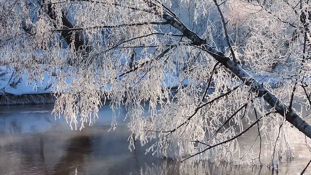 Тест видеорежима Nikon CoolPix P600 смотреть онлайн