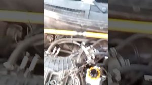 10 минутная промывка лавр