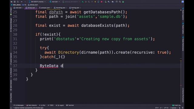 Flutter Offline Dictionary part 2- Import External Database смотреть онлайн