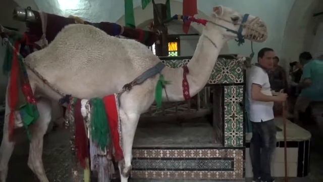 НЕПОЗНАТИЯТ ТУНИС - част 6 +++++ КАЙРУАН и СУС смотреть онлайн