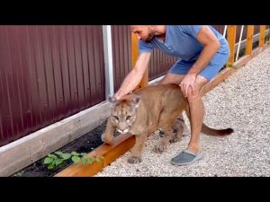 Открыли тайну второго участка! Месси троллит Сашу и пытается залезть в грязь