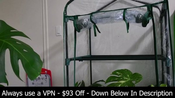 Mx player Pro vs VLC - Best Media Player to use for buffering