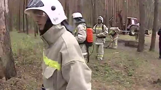 В Тверицком бору прошли учения по тушению пожаров смотреть онлайн