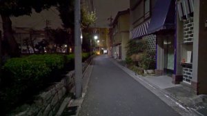 Япония • Ночная прогулка в Токио Мукодзима с Сакурой