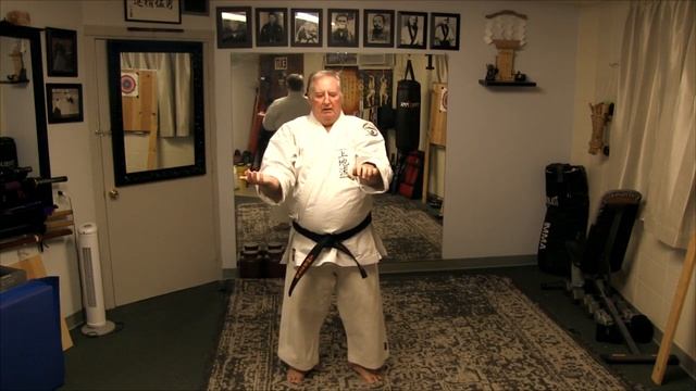 How to Practice Karate at Home for Beginners - Kata Kanshu смотреть онлайн