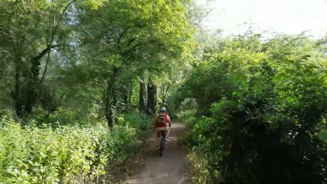 Dji mini 3 Pro Active Track | Bike + Kayak смотреть онлайн