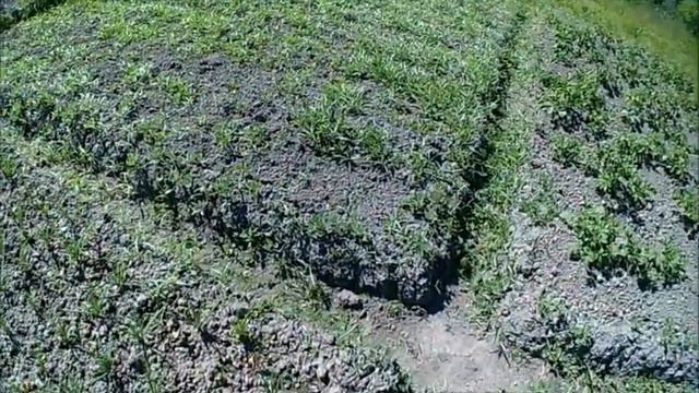 20.06.2019 Опять вопросы на ответы. смотреть онлайн