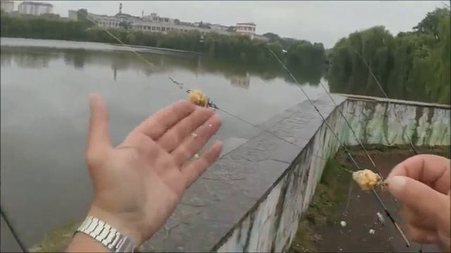 Ловля на пенопласт . I Love to FISH from the PARAPET . смотреть онлайн