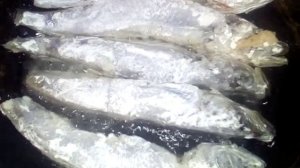 Готовим Путассу