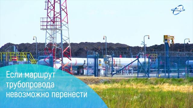 Как «Транснефть» охраняет редкие растения смотреть онлайн