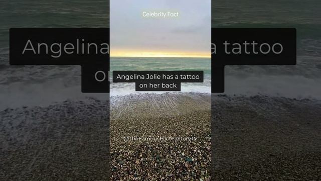 Angelina Jolie has a tattoo on her back... #shorts #celebrity #facts #subscribe смотреть онлайн