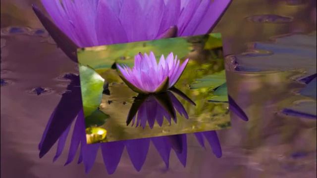 МАНТРА ПОЛНОЙ ЗАЩИТЫ смотреть онлайн