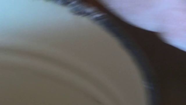 Цирковые Представления и Шоу