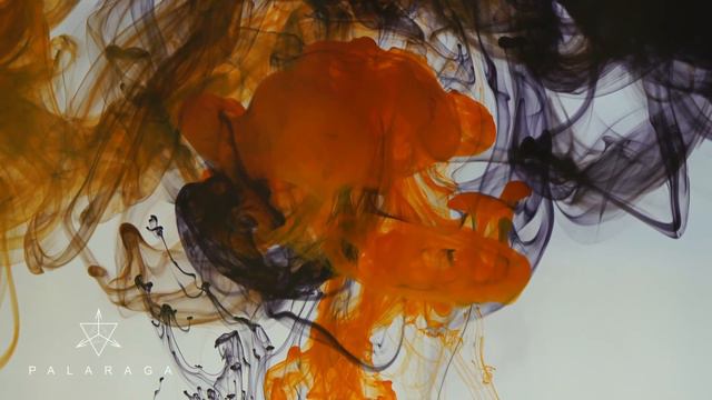 Palaraga - Endless pain in my heart | www.palaraga.com смотреть онлайн