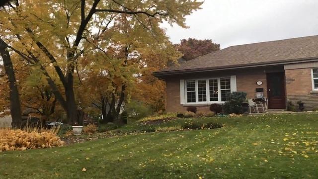 Дома из СТРУЖКИ. Дом из ДСП. Одежда в КРЕДИТ. Жизнь в ХУДШЕЙ стране на земле смотреть онлайн