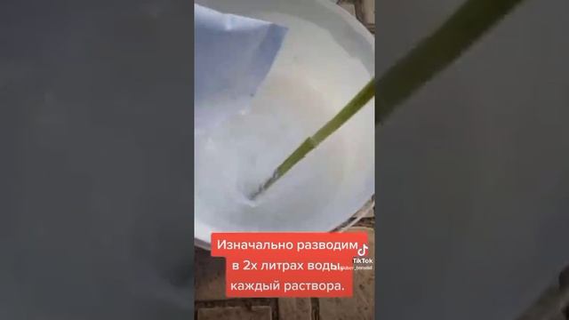 Как приготовить раствор Бордоской жидкости смотреть онлайн