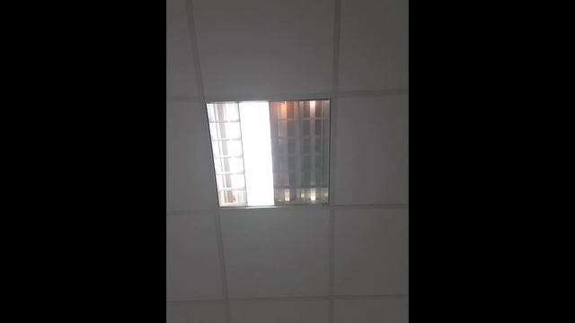 All possibilities with 2 EOL and 2 dead starters, part 6 (final) смотреть онлайн