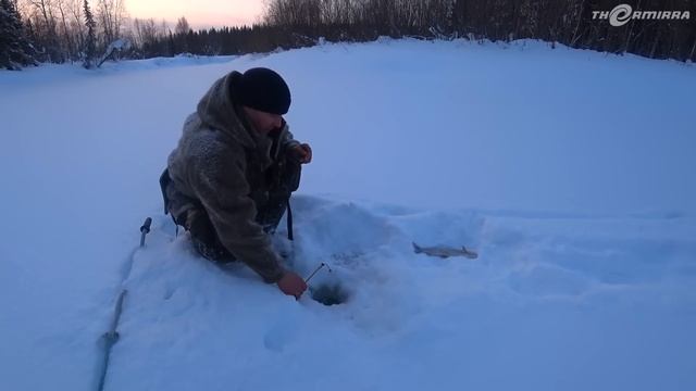 Большая рыбалка по хариусу! Нашли клёвое место! ! Хариус по сибирски с картошечкой! Ночь в тайге! смотреть онлайн