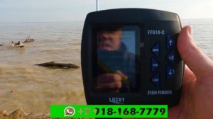 Кораблик с Эхолотом Lucky FF918 и Автопилотом