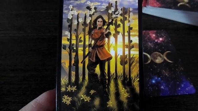 Гадание на 11 февраля 2020 года. Карта дня. Таро Ведьм. смотреть онлайн