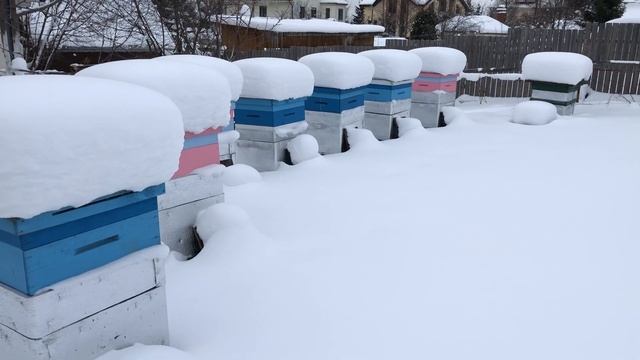 Зимовка пчёл на улице, с утеплением домиков.
