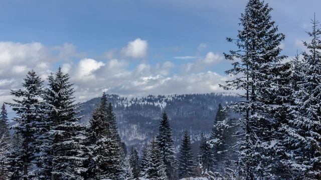 Медитация для улучшения отношений, достижения гармонии и личных целей смотреть онлайн