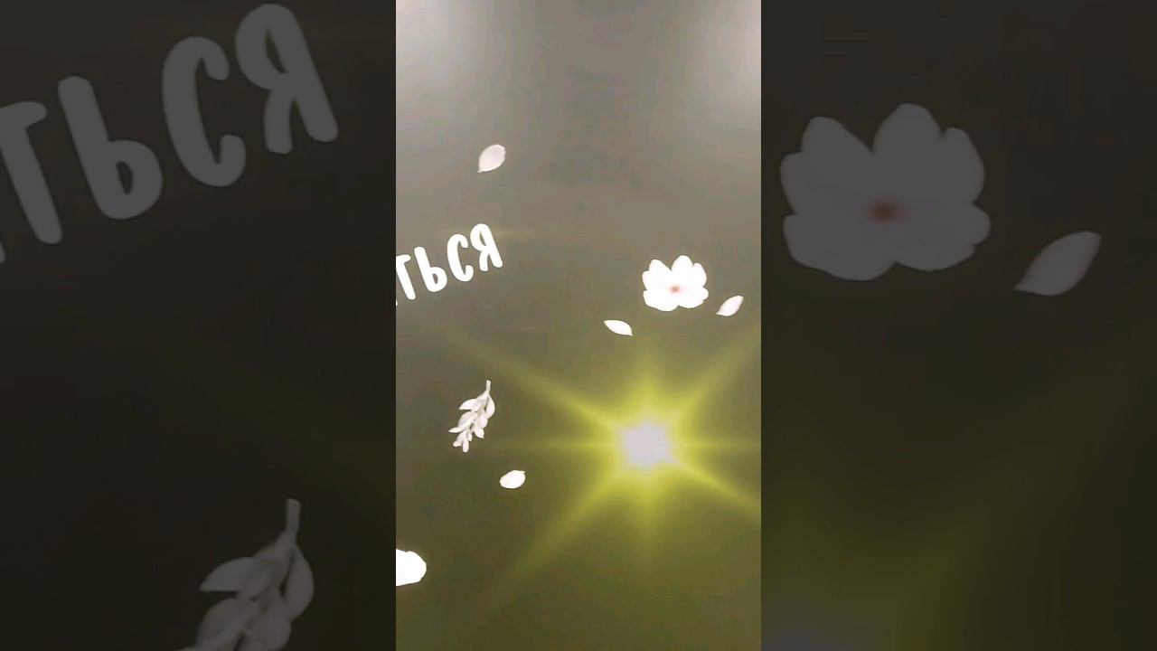 Сегодня твой день! #love #shorts #счастье смотреть онлайн