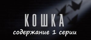 Содержание 1 серии сериала "Кошка" (РФ, 2023)